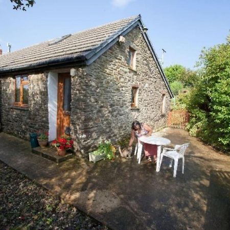 Inviting 2-Bed Cottage In Newcastle Emlyn Zewnętrze zdjęcie