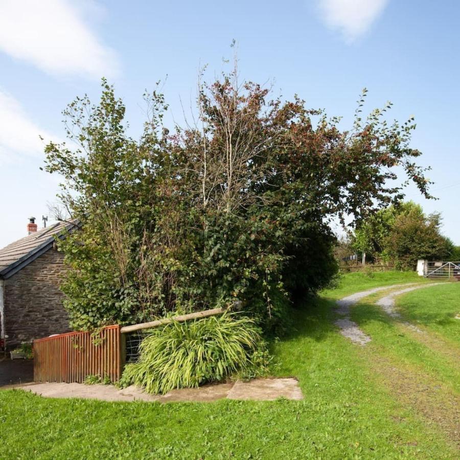 Inviting 2-Bed Cottage In Newcastle Emlyn Zewnętrze zdjęcie